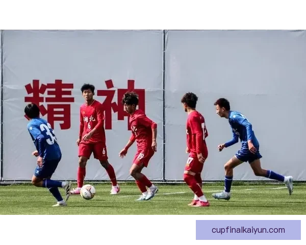 足球新星参赛名单引发广泛关注，状态与表现备受期待